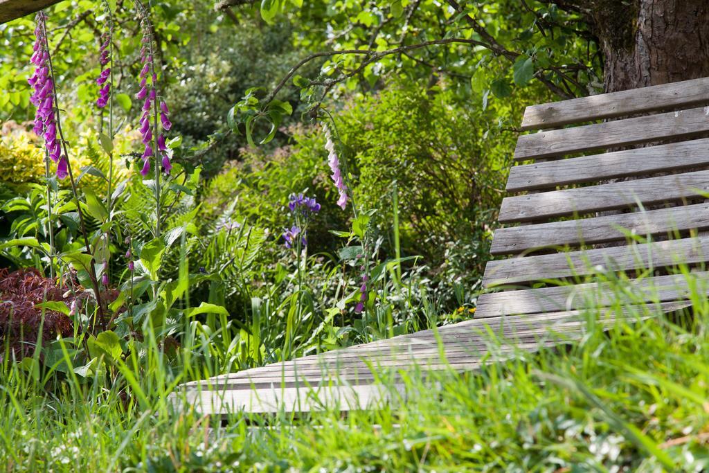 Glebe Farm B&B Kingsbridge  Exteriör bild