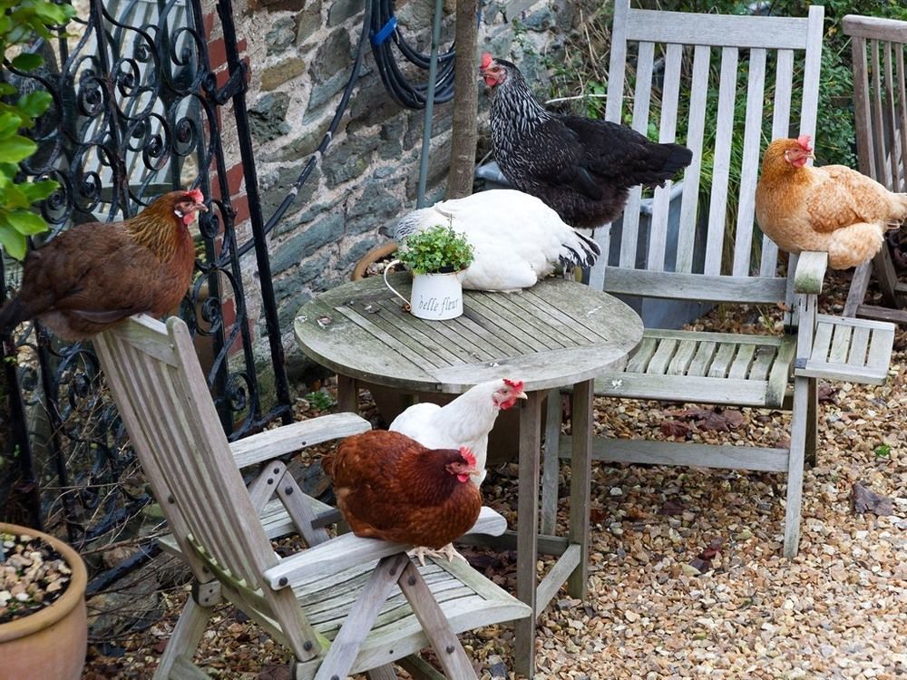 Glebe Farm B&B Kingsbridge  Exteriör bild